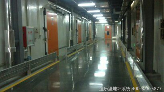 濟(jì)南果品研究院密封固化劑地坪 -- 迪樂堡地坪系統(tǒng)