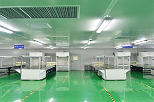 環(huán)氧防靜電地坪解決方案